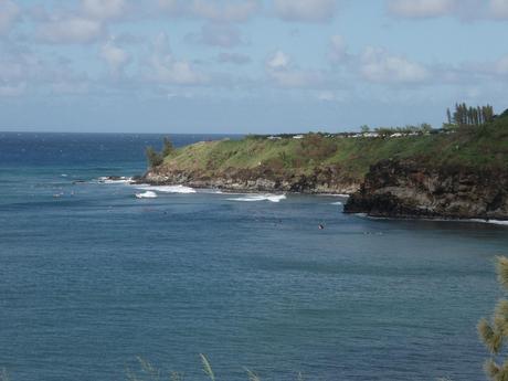 honolua.jpg