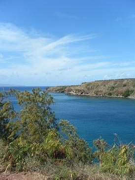 maui%202008.10%20001.jpg